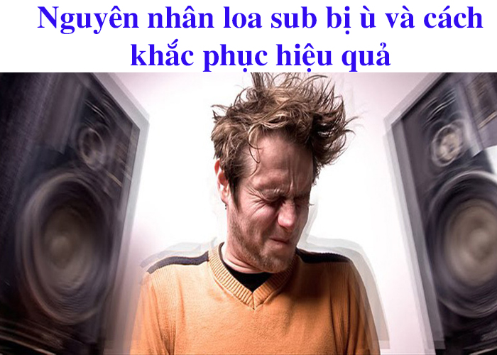 nguyên nhân loa sub bị ù và cách khắc phục hiệu quả